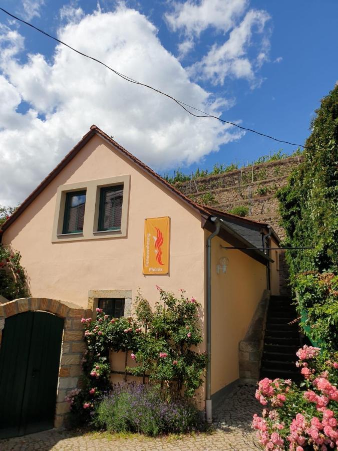 Unterkunft Am Weinberg Nunchritz ภายนอก รูปภาพ